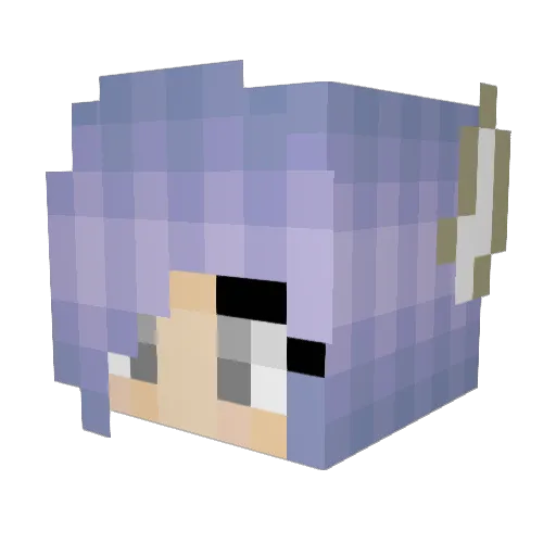 allen789987 Minecraft avatar head, 3D render
