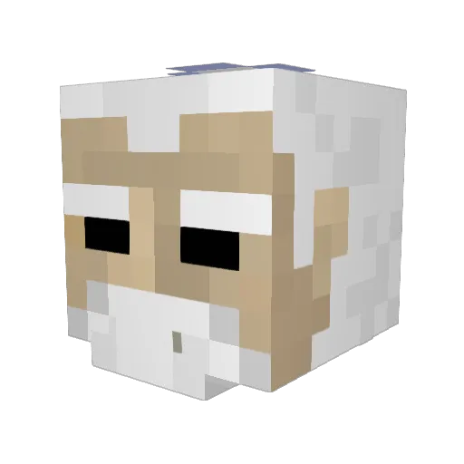 allenwang6212 Minecraft avatar head, 3D render