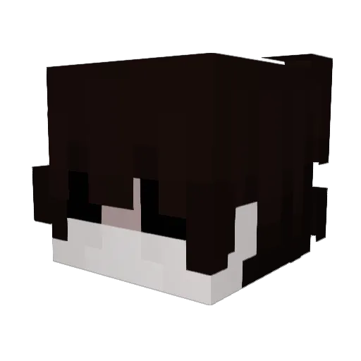 allergics Minecraft avatar head, 3D render