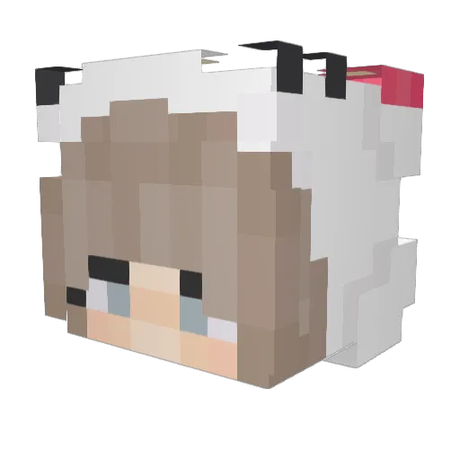 allesfuehlende Minecraft avatar head, 3D render