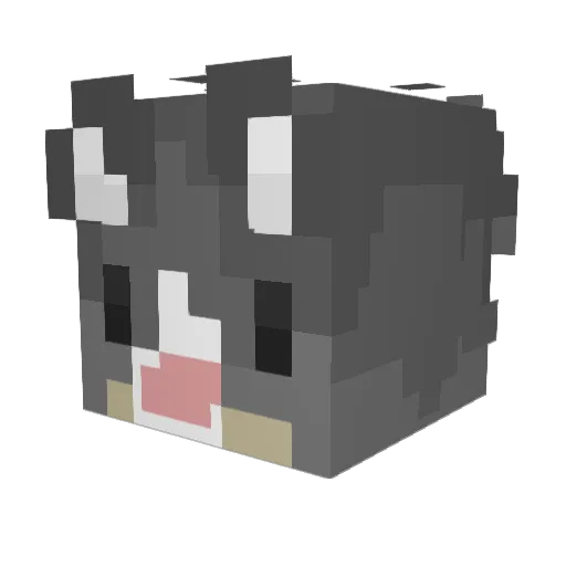 allhailsadcat Minecraft avatar head, 3D render