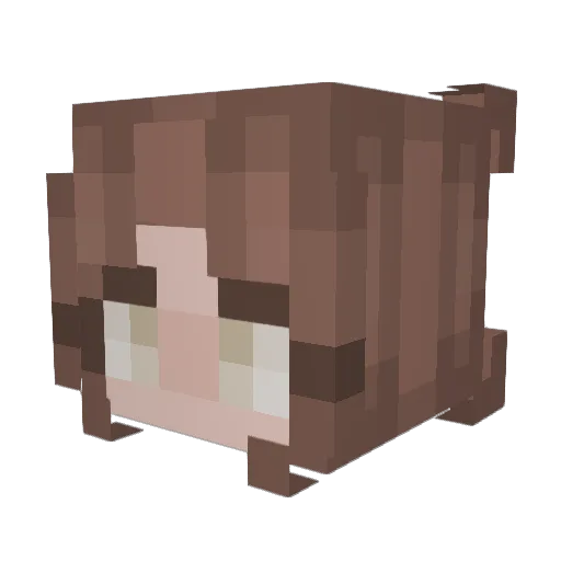 alli20039 Minecraft avatar head, 3D render