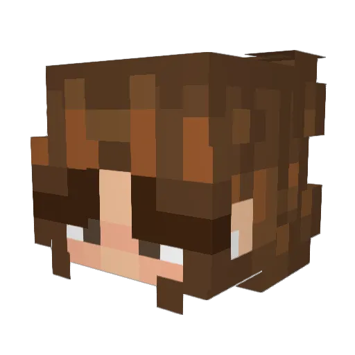 alli200913 Minecraft avatar head, 3D render