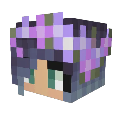 alli_102 Minecraft avatar head, 3D render