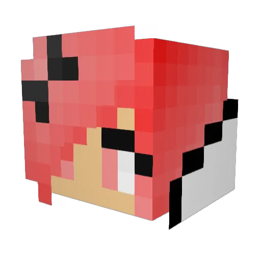 allice110 Minecraft avatar head, 3D render
