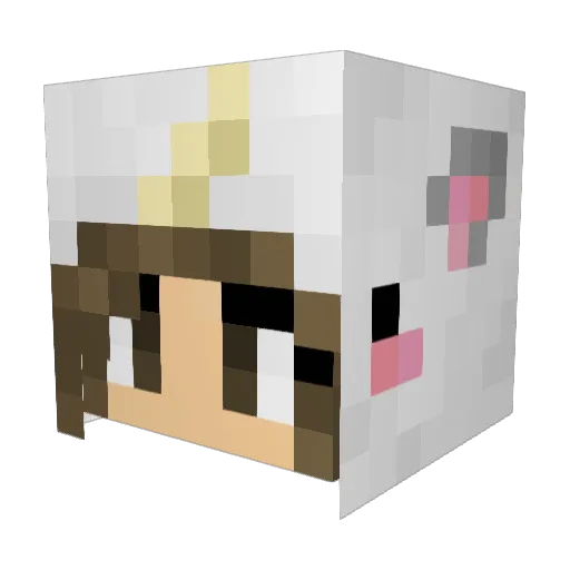 allie6768 Minecraft avatar head, 3D render