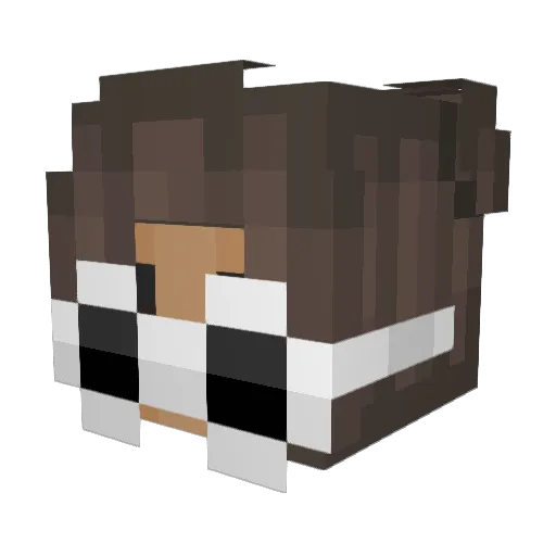 allie_bama05 Minecraft avatar head, 3D render