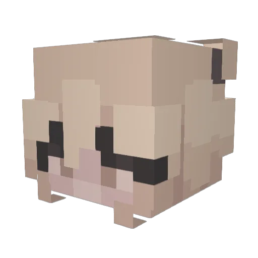 alligatorcat Minecraft avatar head, 3D render