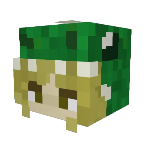 alligatormuffin Minecraft avatar head, 3D render