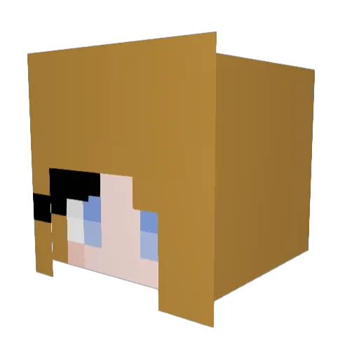 alligoam Minecraft avatar head, 3D render