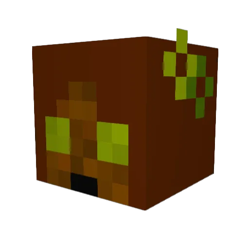 allilaya Minecraft avatar head, 3D render