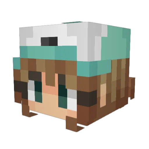 allison_sol Minecraft avatar head, 3D render