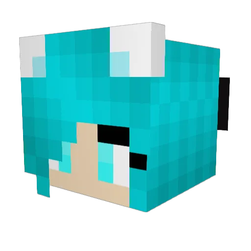 allisoncujo Minecraft avatar head, 3D render