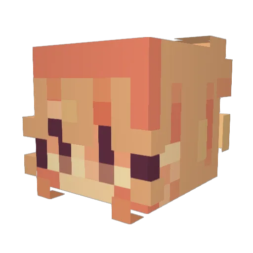 alliumpetals Minecraft avatar head, 3D render
