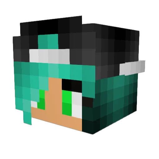 allllybruh Minecraft avatar head, 3D render