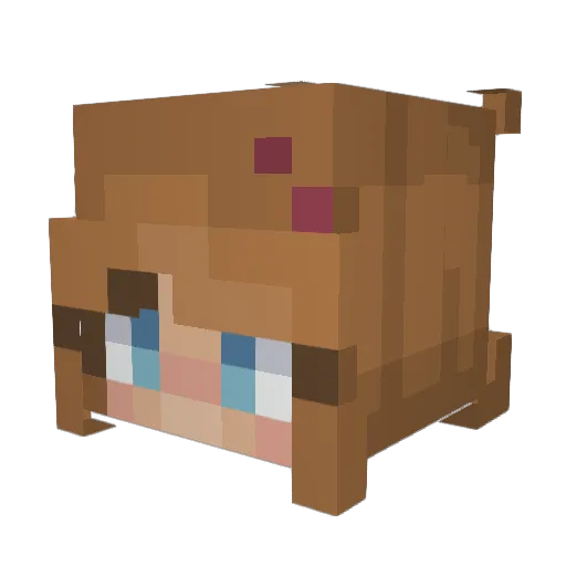 alllygator Minecraft avatar head, 3D render