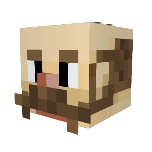allmostsober Minecraft avatar head, 3D render