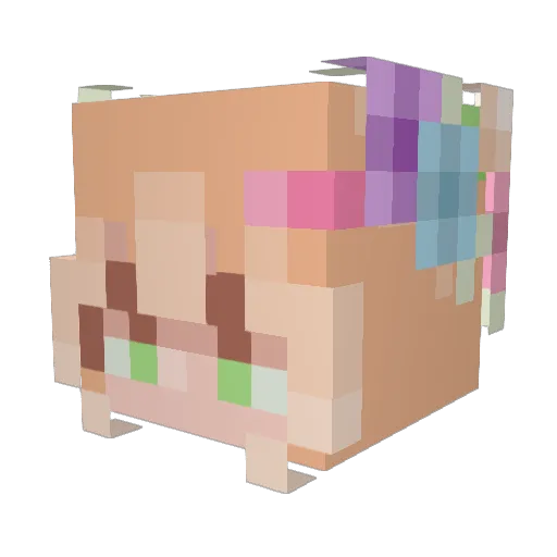 allok1 Minecraft avatar head, 3D render