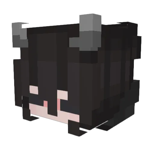 allottedkarma11 Minecraft avatar head, 3D render