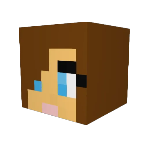 allpal Minecraft avatar head, 3D render