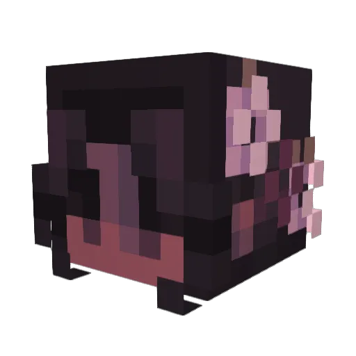 allsanoe Minecraft avatar head, 3D render
