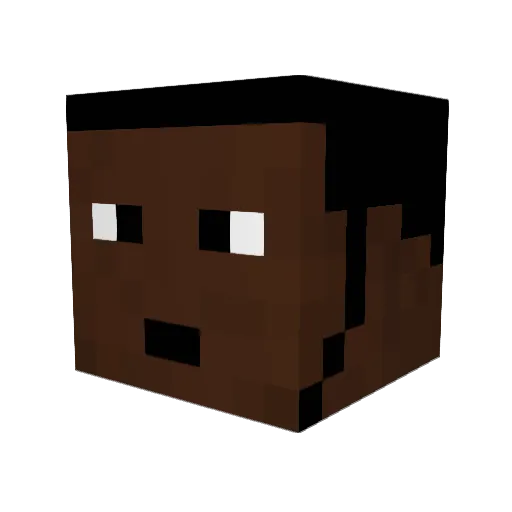 allstar204 Minecraft avatar head, 3D render