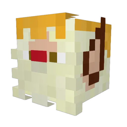 allstar2567 Minecraft avatar head, 3D render