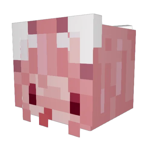 allulanssi Minecraft avatar head, 3D render