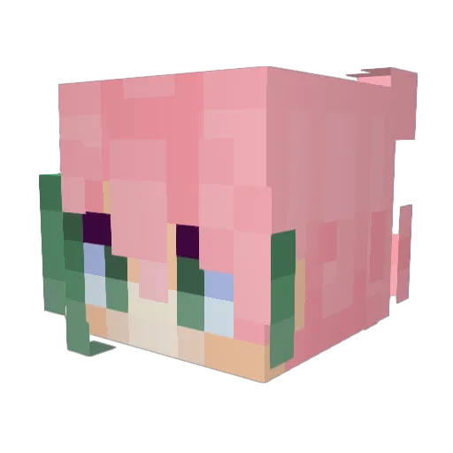 allusin Minecraft avatar head, 3D render