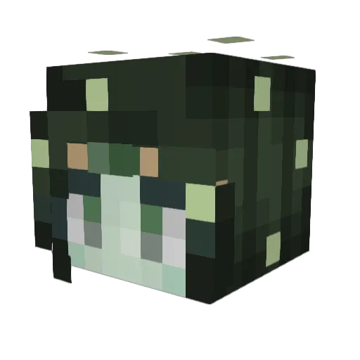allwasblue Minecraft avatar head, 3D render
