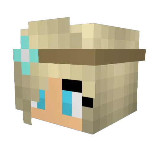 ally9183 Minecraft avatar head, 3D render