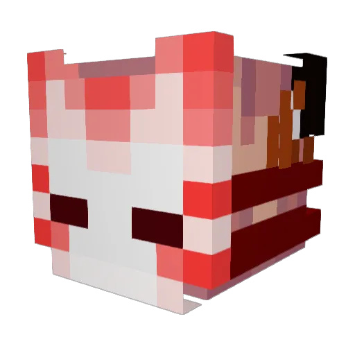 ally_cat0201 Minecraft avatar head, 3D render