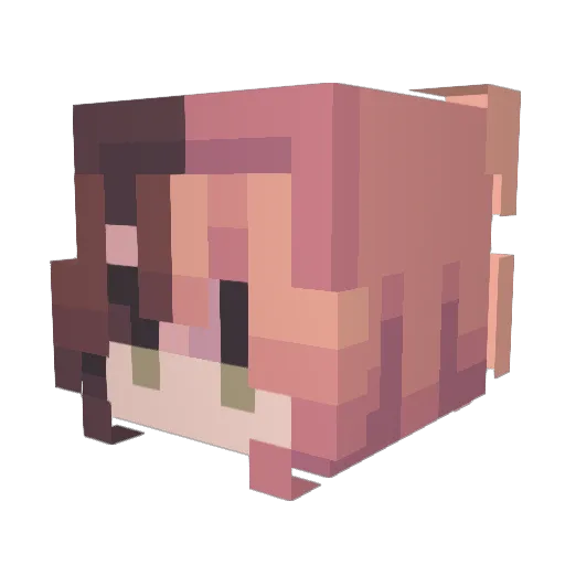allybee15 Minecraft avatar head, 3D render