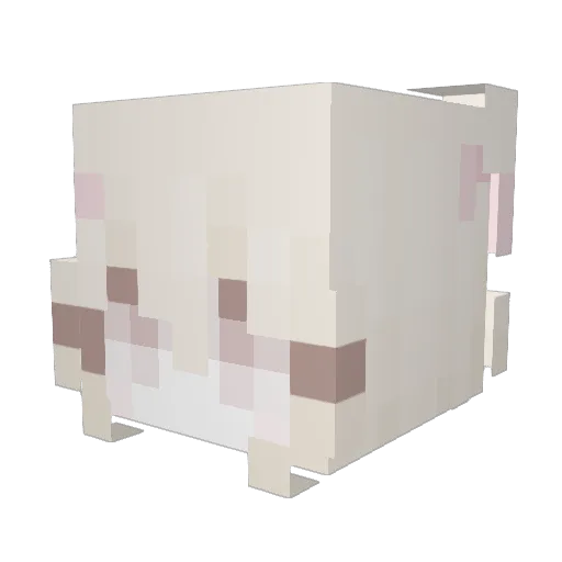 allyboii Minecraft avatar head, 3D render