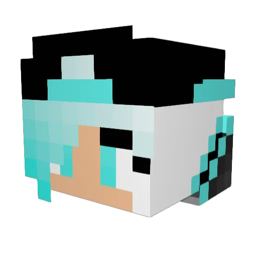 allycat144 Minecraft avatar head, 3D render