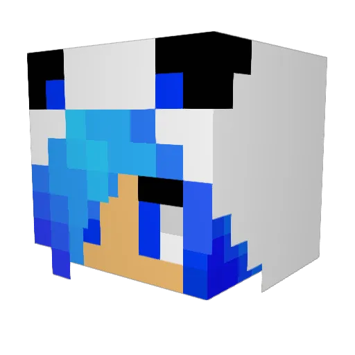 allycat4044 Minecraft avatar head, 3D render