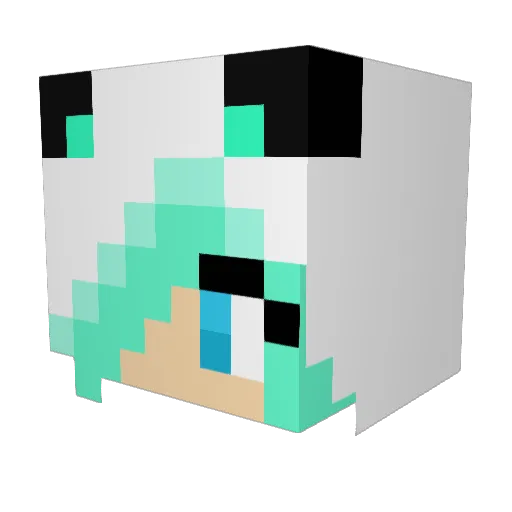 allycat56 Minecraft avatar head, 3D render