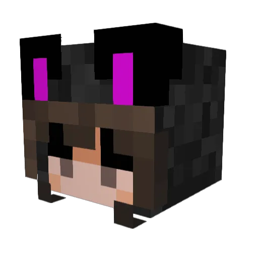 allykittycat Minecraft avatar head, 3D render
