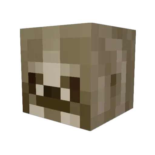 allynskinner Minecraft avatar head, 3D render