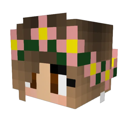 allynutella Minecraft avatar head, 3D render