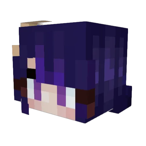 allyplay1121 Minecraft avatar head, 3D render