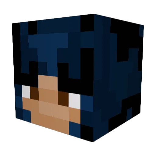 allysonnnn Minecraft avatar head, 3D render