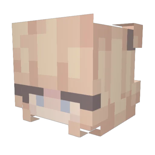 allysoup Minecraft avatar head, 3D render