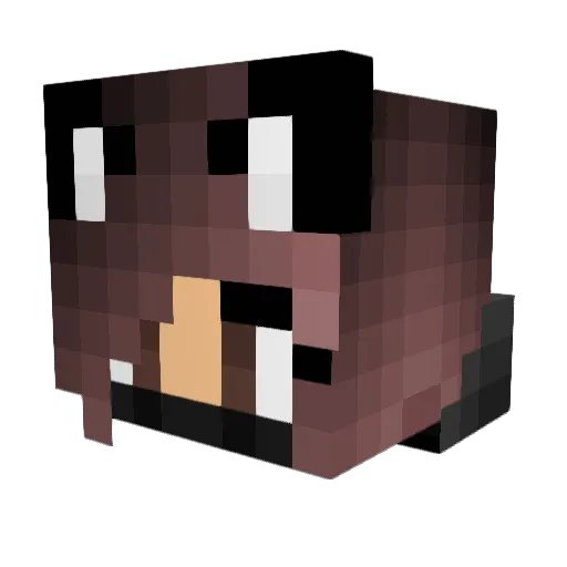 allyssa1st Minecraft avatar head, 3D render