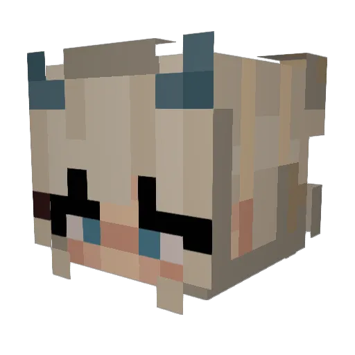 allywally96 Minecraft avatar head, 3D render