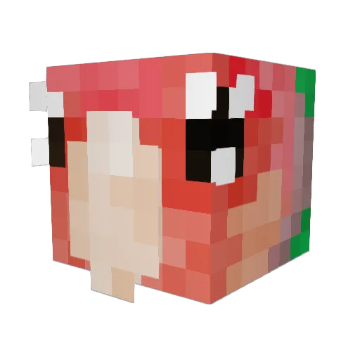 allyxm Minecraft avatar head, 3D render