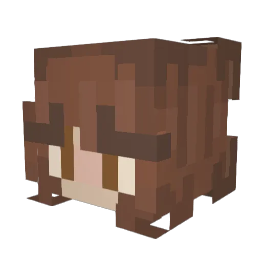 alminaomg Minecraft avatar head, 3D render