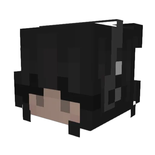 aloddlenoddle Minecraft avatar head, 3D render