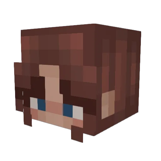 aloeb12 Minecraft avatar head, 3D render