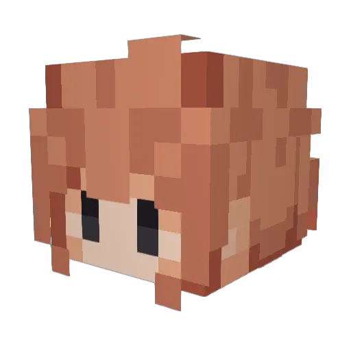 aloi111 Minecraft avatar head, 3D render